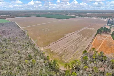 00 Paddock Meadows (Lot 13) Road, Red Springs, NC 28377 - Photo 21