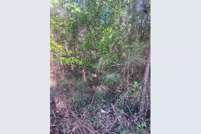 4636 Bragg Boulevard, Fayetteville, NC 28303 - Photo 21