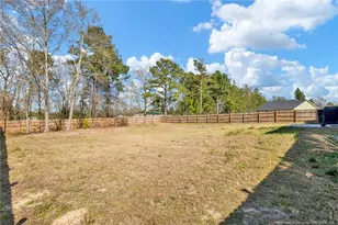 52 Dalmation Ln, Parkton, NC 28371 - Photo 3