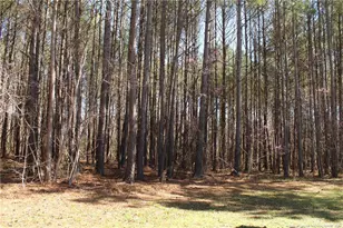 951 Lucian Hilliard Rd, Goldston, NC 27252 - Photo 25