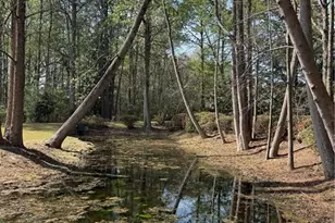 7023 Lure Ct, Fayetteville, NC 28311 - Photo 29