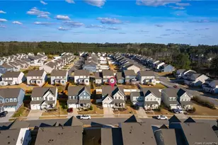 2533 Great Daisy Ln, New Hill, NC 27562 - Photo 41