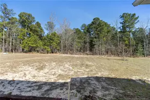 84 Rainy Beck Wy, Erwin, NC 28356 - Photo 33