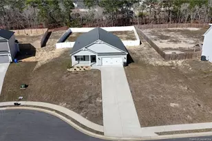 370 Bulldawg Ln, Raeford, NC 28376 - Photo 37