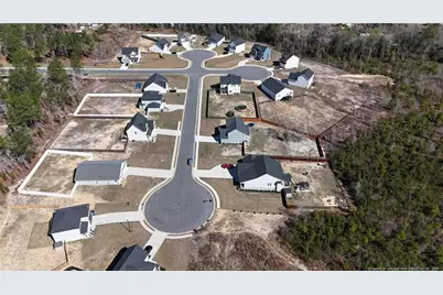 370 Bulldawg Lane, Raeford, NC 28376 - Photo 29