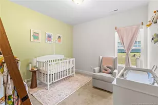 143 Western pine Wy, Sanford, NC 27332 - Photo 19