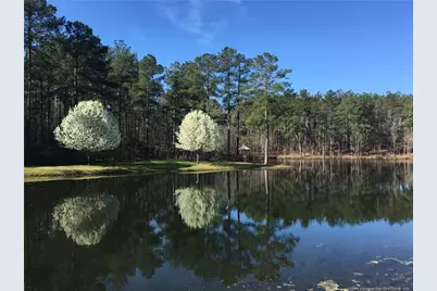 299 Orchard Falls Drive, Spring Lake, NC 28390 - Photo 35