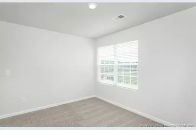 28 Rider Street, Broadway, NC 27505 - Photo 19