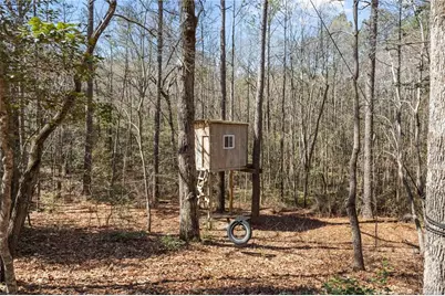 6 S Allyson Place, Vass, NC 28394 - Photo 37