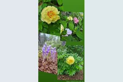 6 S Allyson Place, Vass, NC 28394 - Photo 41