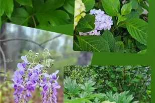 6 S Allyson Pl, Vass, NC 28394 - Photo 41