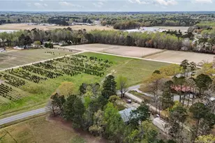 432 Pearidge Rd, , NC 27592 - Photo 47