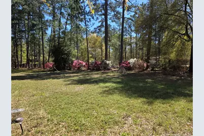 5354 Muscat Road, Hope Mills, NC 28348 - Photo 13