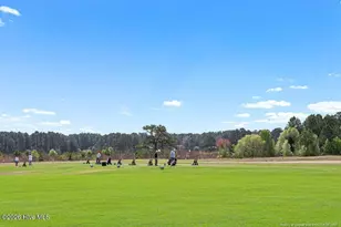 793 Daphne Ln, Vass, NC 28394 - Photo 49