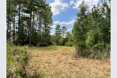 233 Clearview Court, Sanford, NC 27332 - Photo 9