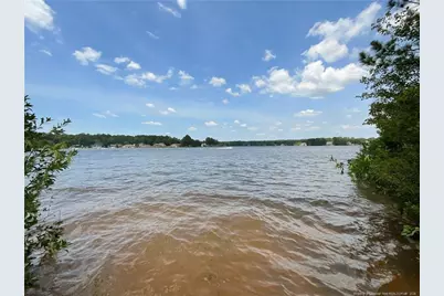 233 Clearview Court, Sanford, NC 27332 - Photo 5