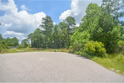 226 Clearview Court, Sanford, NC 27332 - Photo 13