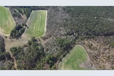 13441 Nc Highway 87 W, , NC 28392 - Photo 5