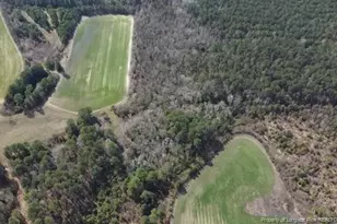 13441 Nc Hwy 87 W, , NC 28392 - Photo 5