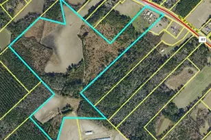 13441 Nc Hwy 87 W, , NC 28392 - Photo 15