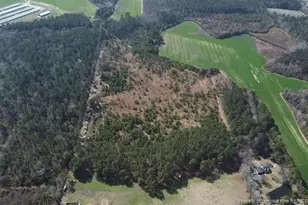 13441 Nc Hwy 87 W, , NC 28392 - Photo 3