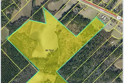 13441 Nc Highway 87 W, , NC 28392 - Photo 17