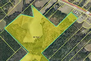 13441 Nc Hwy 87 W, , NC 28392 - Photo 17