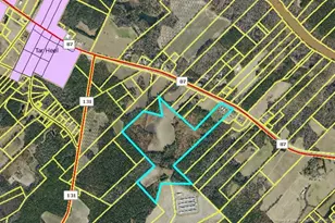 13441 Nc Hwy 87 W, , NC 28392 - Photo 13