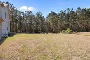 1712 Cherrypoint Dr, Fayetteville, NC 28306 - Photo 39