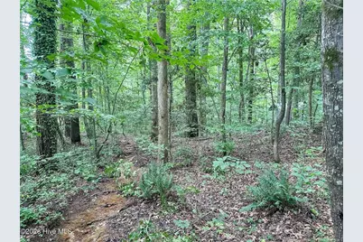Tbd South Pointe Point, Sanford, NC 27330 - Photo 7