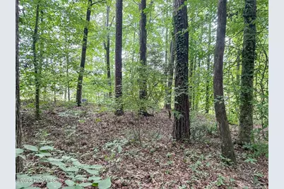 Tbd South Pointe Point, Sanford, NC 27330 - Photo 5
