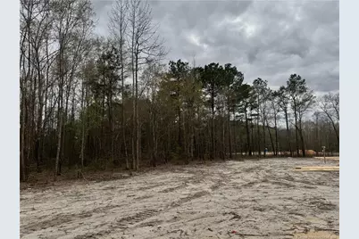 4950 Philippi Church (Lot 2) Road, Raeford, NC 28376 - Photo 9