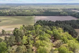 2218 Fairbluff Rd, Orrum, NC 28369 - Photo 43