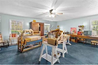 3302 N Rowland Avenue, Lumber Bridge, NC 28358 - Photo 25