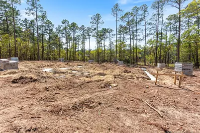 15640 Raccoon Run, Wagram, NC 28396 - Photo 17