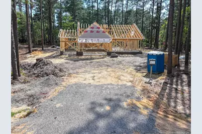 26720 Peach Orchard Road, Wagram, NC 28396 - Photo 1