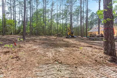 26700 Peach Orchard Road, Wagram, NC 28396 - Photo 17