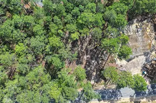 26700 Peach Orchard Rd, Wagram, NC 28396 - Photo 9
