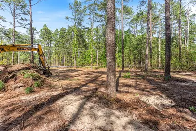 26700 Peach Orchard Road, Wagram, NC 28396 - Photo 15