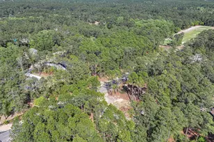 26700 Peach Orchard Rd, Wagram, NC 28396 - Photo 13