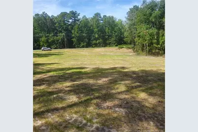 Tbd Rockfish Road, Raeford, NC 28376 - Photo 3