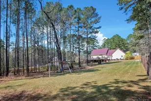 419 Senter Ln, Bunnlevel, NC 28323 - Photo 43