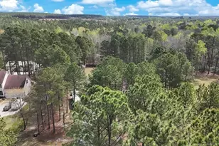 419 Senter Ln, Bunnlevel, NC 28323 - Photo 45