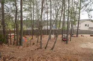 201 Old Blossom Ct, Raeford, NC 28376 - Photo 31