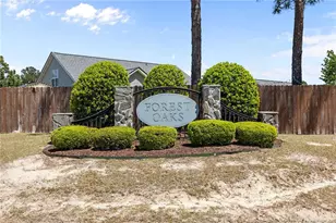 20 Turkey Oak Cir, Bunnlevel, NC 28323 - Photo 43