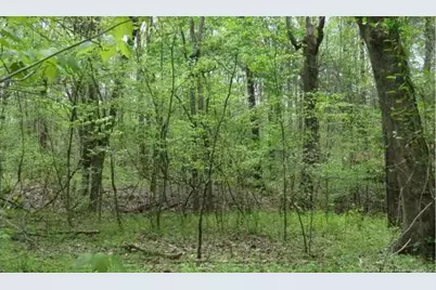 110 Jafar Lane, Statesville, NC 28625 - Photo 3