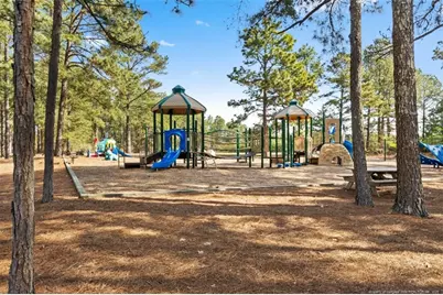 118 Otter Drive, West End, NC 27326 - Photo 21