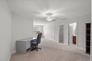 231 Nandina Ct, Fayetteville, NC 28311 - Photo 29