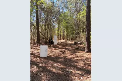 Clark Road, Maxton, NC 28364 - Photo 15