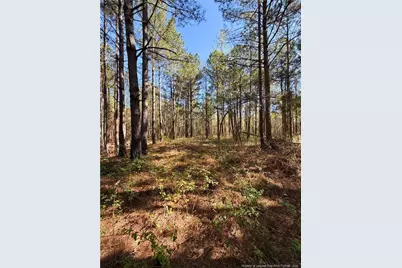 Clark Road, Maxton, NC 28364 - Photo 1